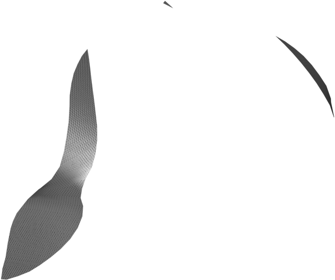 Seabird (1681x1800), Png Download