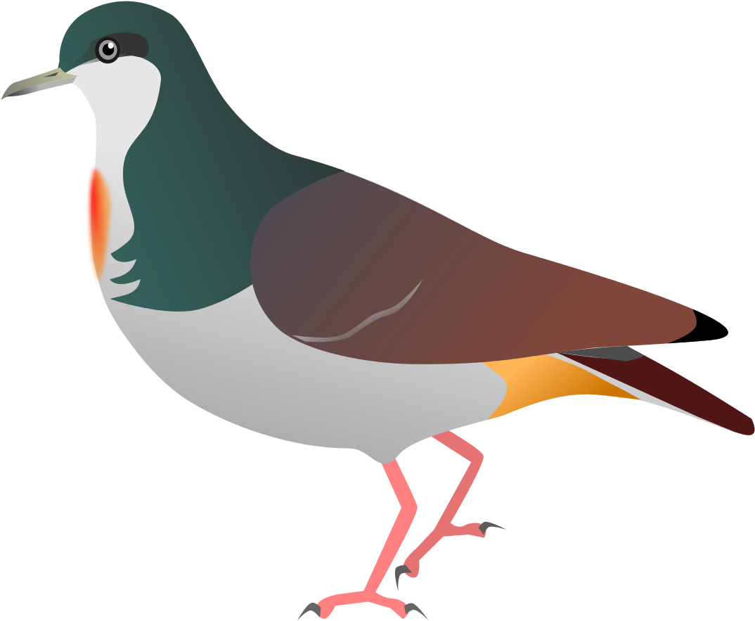 Sulu Bleeding Heart Pigeon (1200x1200), Png Download