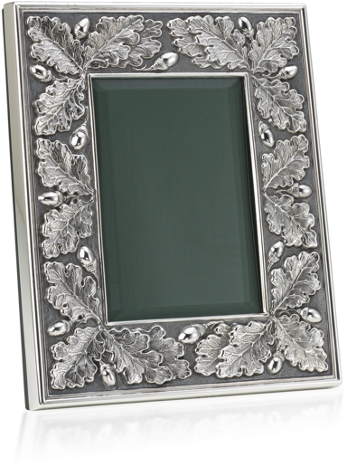 Oak Leaves And Acorns - Oak (570x570), Png Download