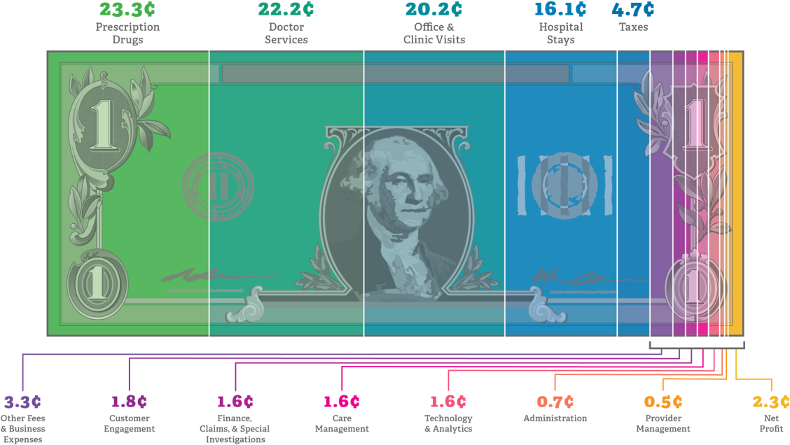 It Also Helps To Improve Health Care Quality And Affordability - Ahip Healthcare Dollar (1334x695), Png Download