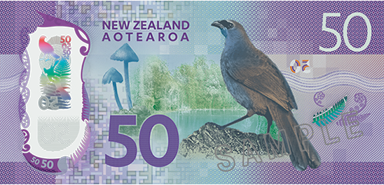 download-new-zealand-50-dollar-back-new-zealand-banknotes-ebay-50-png