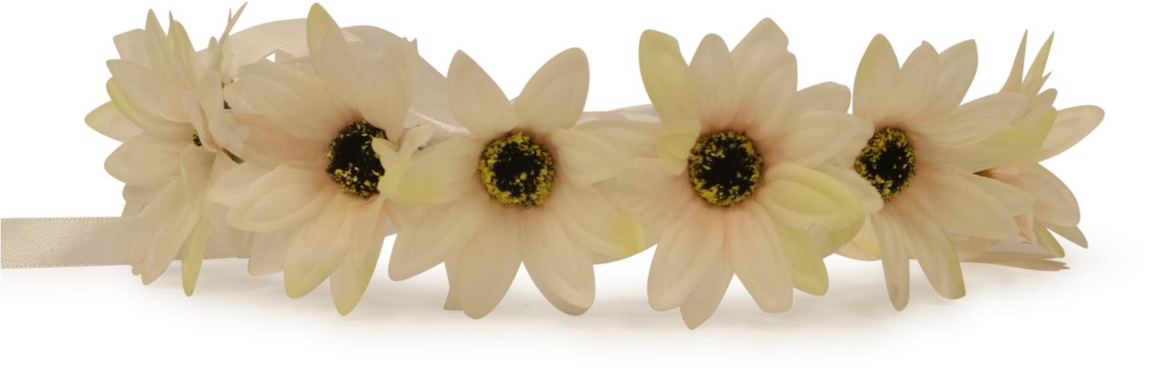 White Flower Crown Png - Flower (1649x1215), Png Download