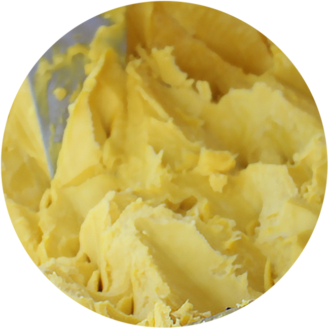 Essential Fatty Acids - Essential Fatty Acid (1000x1000), Png Download