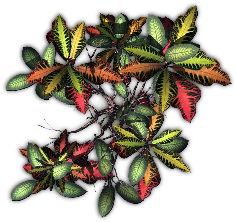 Jungletree-a - Dundjinni Tree (838x761), Png Download