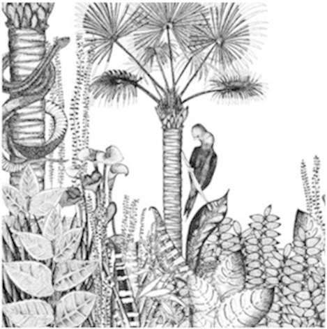 Wallpaper Jungle - Papier Peint Jungle Noir Et Blanc (600x600), Png Download