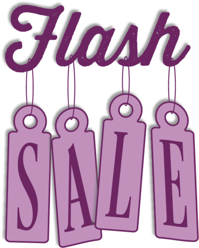 1 Day Only - Flash Sale (405x523), Png Download