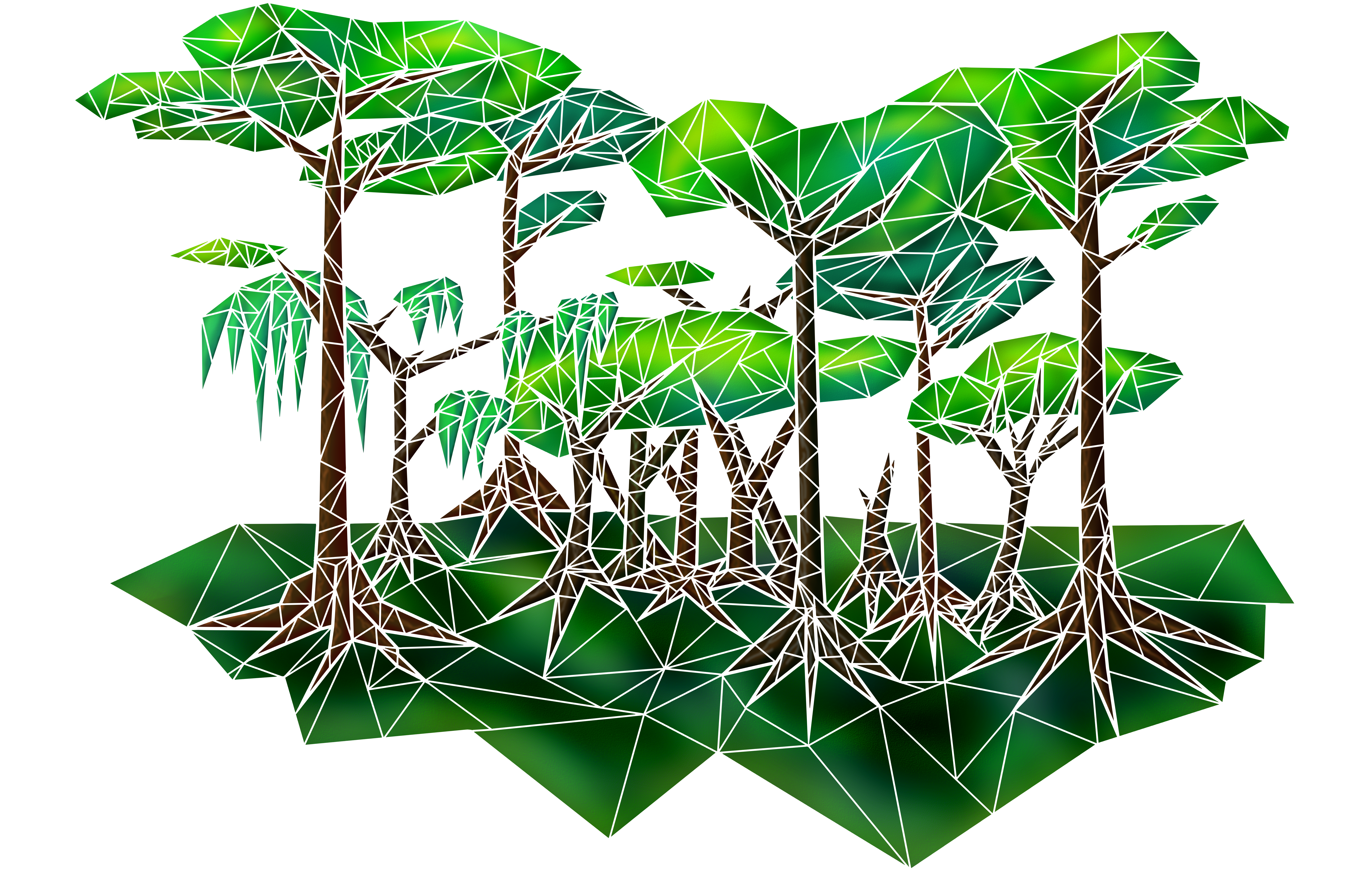 Jungle Plant Png (6679x4252), Png Download