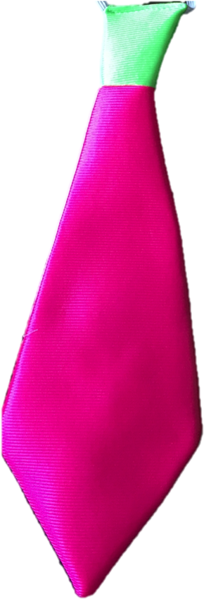 Corbatas Fluo Led - Internet (311x948), Png Download