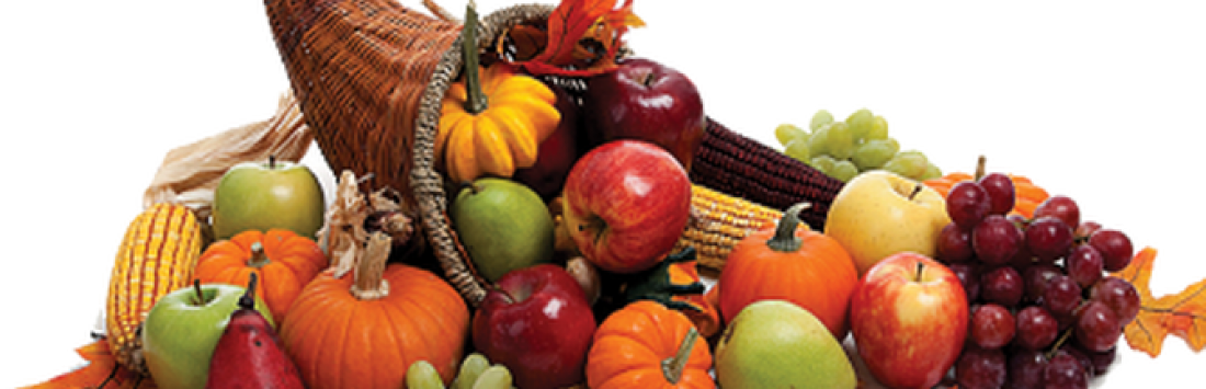 A Cornucopia Of Savings - Essential Oils Recipes Thanksgiving (1100x355), Png Download