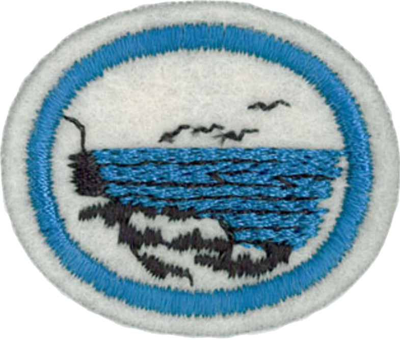 Marine Algae Honor - Especialidade De Algas Marinhas (785x668), Png Download