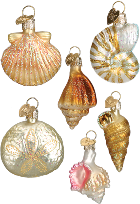 Sea Shell Ornaments - Beach Christmas Ornaments Png (480x480), Png Download