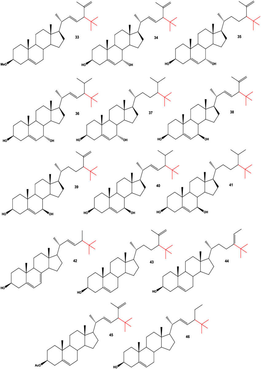 Neo Steroids Isolated From Marine Sponges, Anemones - Ink (850x1200), Png Download