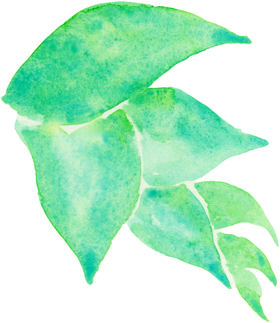 Cartoon (1024x1141), Png Download