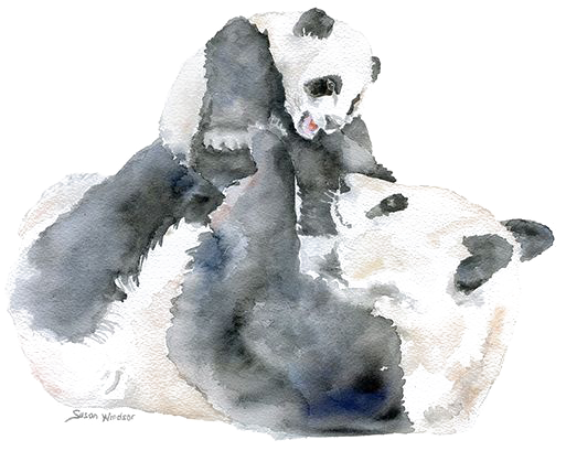 Giant Panda Bear Watercolor Painting Infant Mother - Baby Animals Watercolour Painting (564x451), Png Download