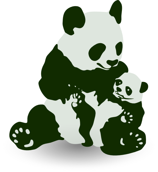 Bear With Panda Baby (552x598), Png Download