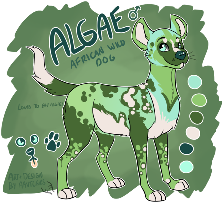 Dog (785x714), Png Download