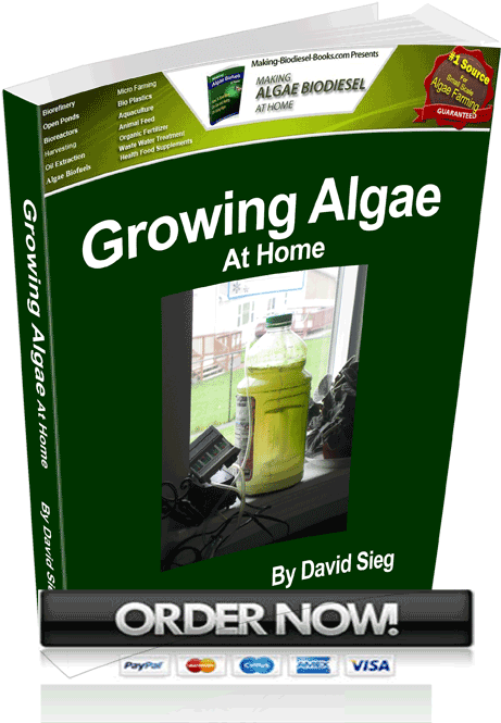 Growing Algae At Home - Parallel (511x684), Png Download