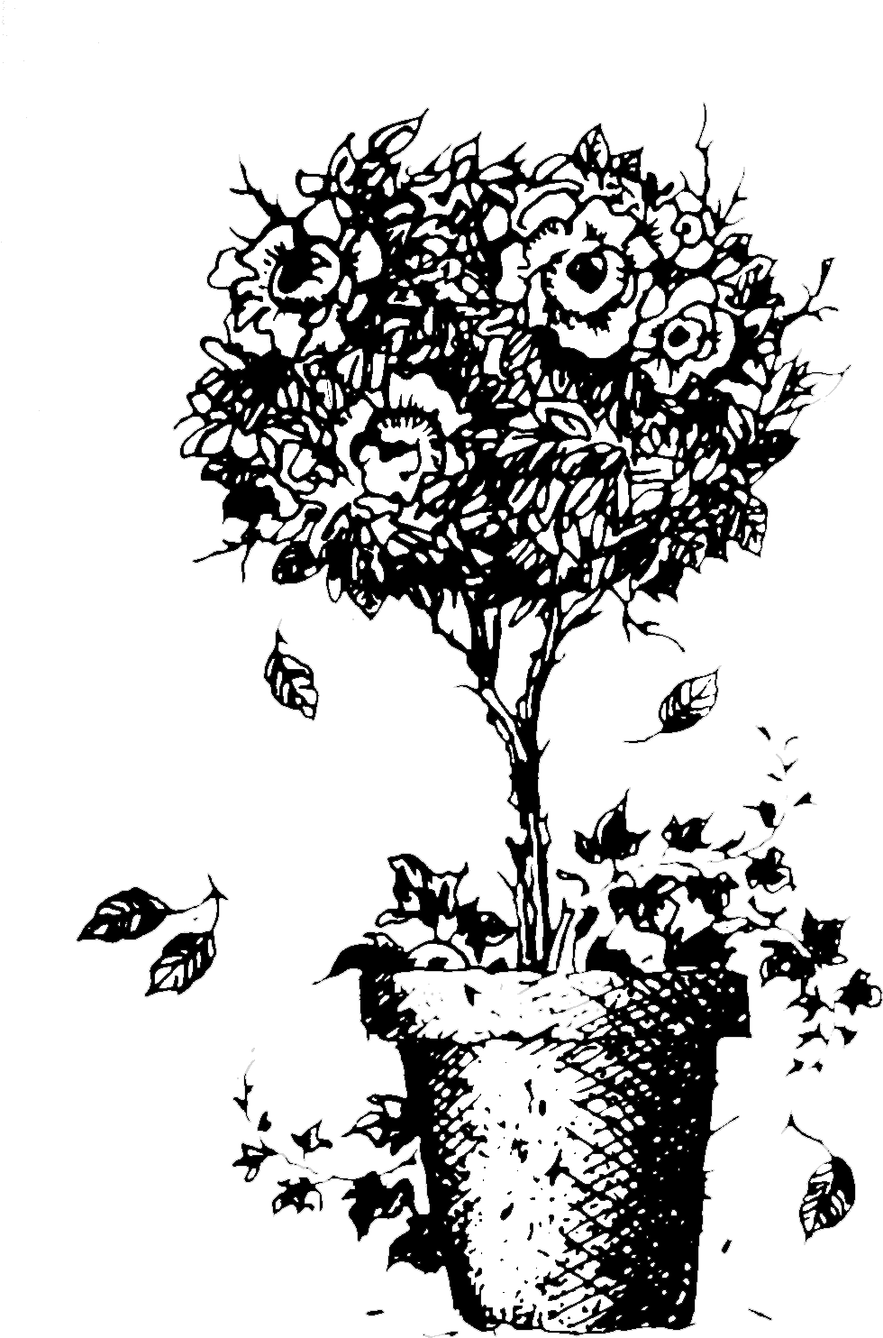 Design Effects Png (1072x1525), Png Download