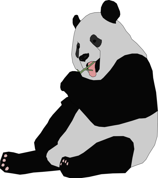Chengdu Research Base Of Giant Panda Breeding Bear - Clipart Panda (669x750), Png Download