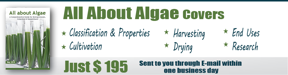 Who Will Benefit The Most From The All About Algae - Uttar Pradesh Jal Nigam Junior Engineer (civil Engineering) (955x251), Png Download