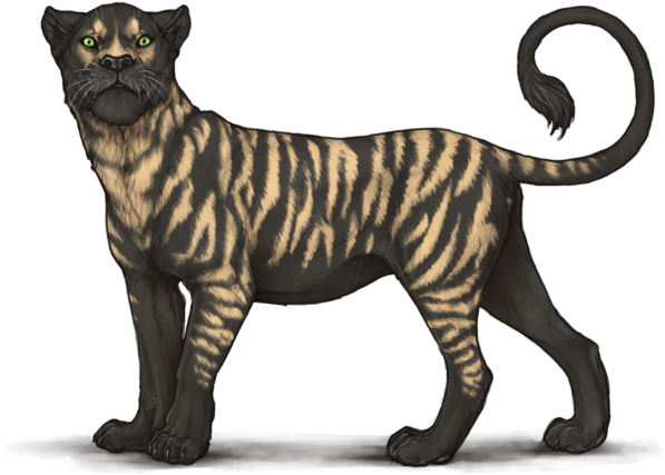 Hyena Stripes Scarce Dark Brown, Hyena Stripes Scarce - Siberian Tiger (640x500), Png Download