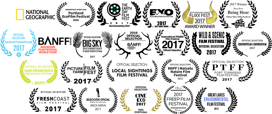 Laurels - Palmer Morse (1000x450), Png Download