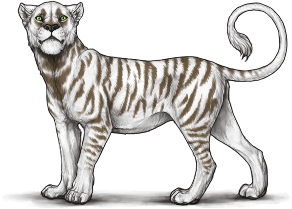 Bst75up - Portable Network Graphics (640x500), Png Download