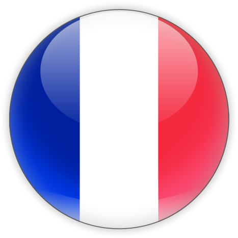 France Flag Png Picture - France Flag Png (640x480), Png Download