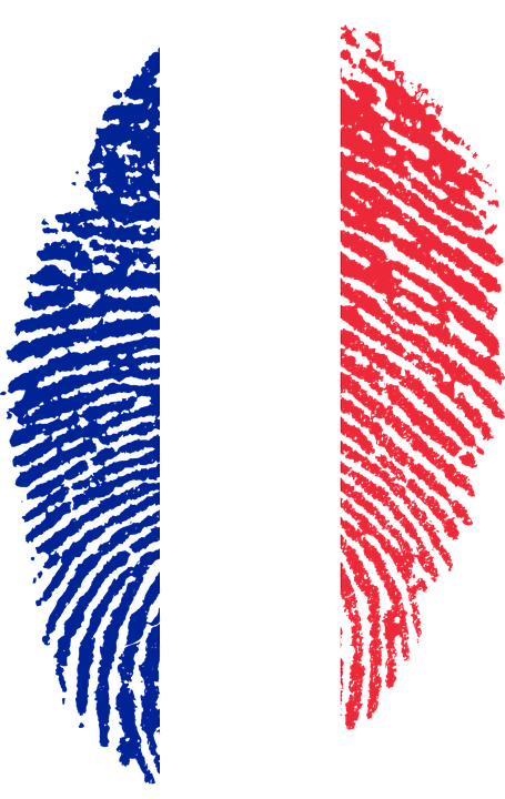 France Flag Fingerprint Png (455x720), Png Download
