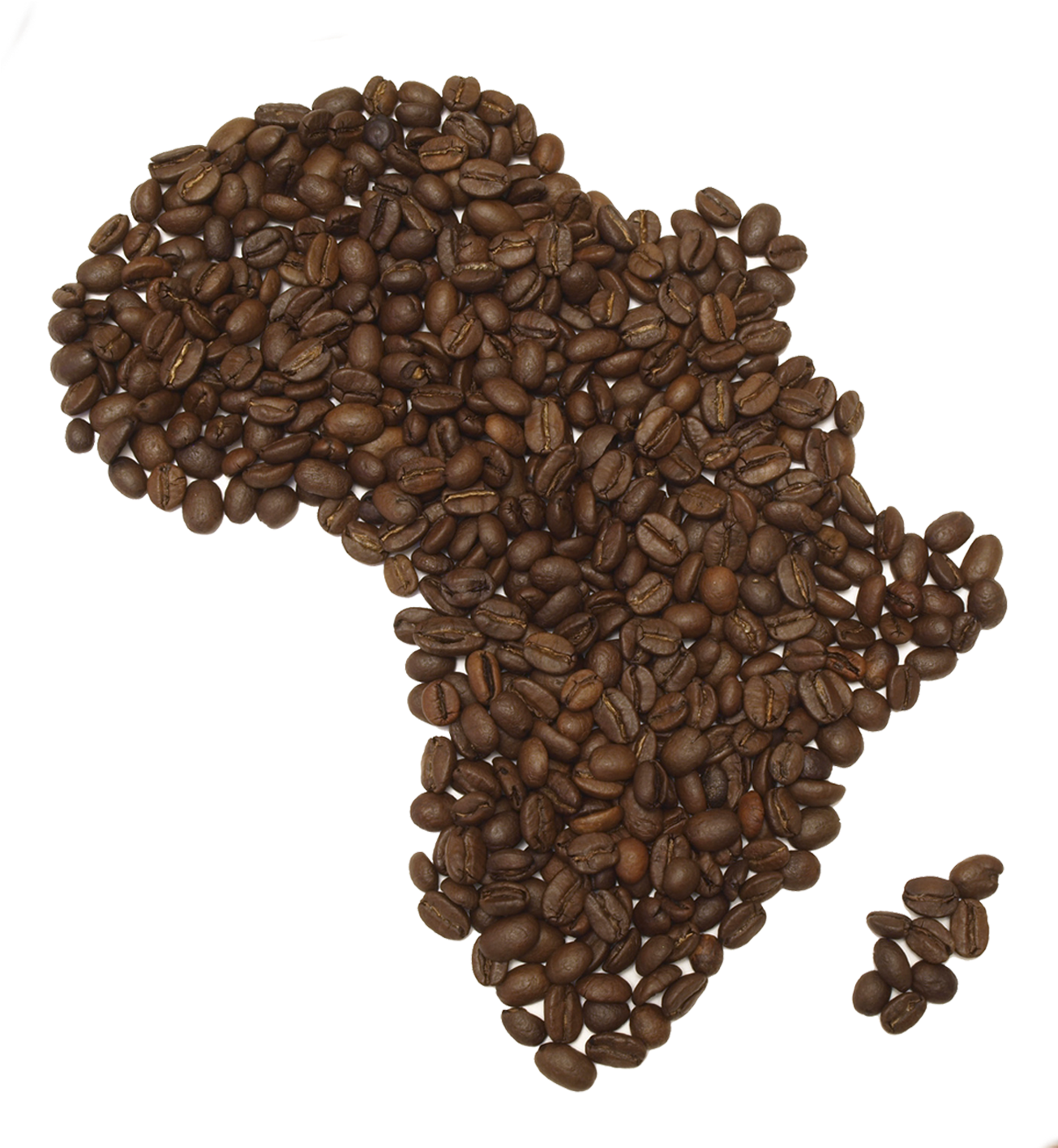 Coffee Beans Png Fifteen - Coffee (1398x1416), Png Download