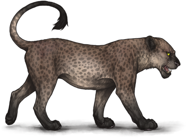 2h5cif8 - Portable Network Graphics (640x500), Png Download