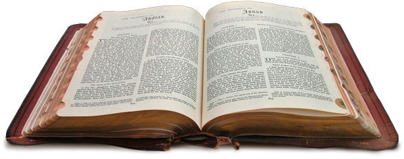 Jewish Scripture Reading - Bible (600x237), Png Download