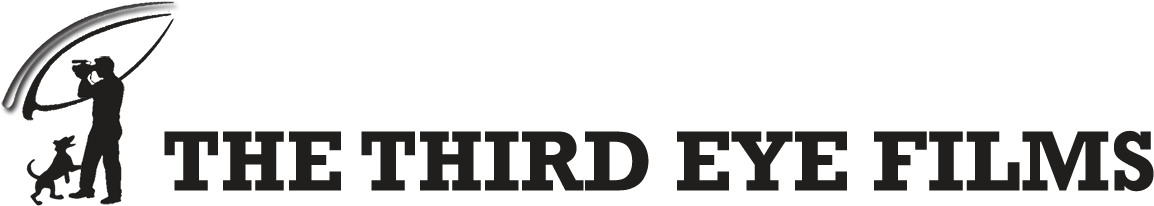 Logo - Third Eye (1276x315), Png Download