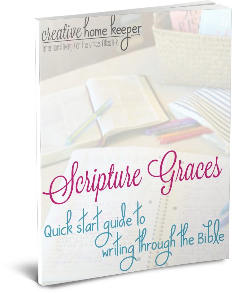 Quick Start Guide To Writing Through The Bible - Semifreddi & Frozen Desserts (795x1003), Png Download