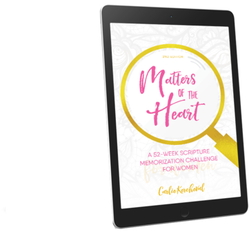 Matters Of The Heart - Woman (480x347), Png Download