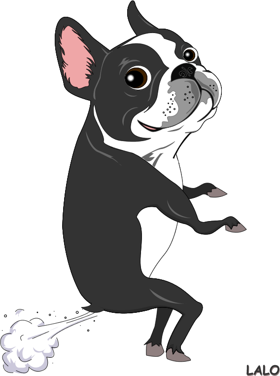 The Dog That Farts Everyday After - Boston Terrier Drawing Easy (568x762), Png Download