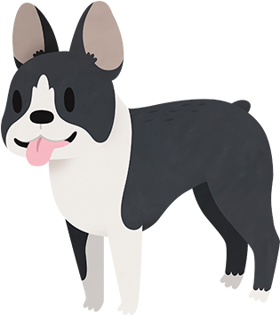 Bulldog Drawing Boston Terrier - Boston Terrier (600x600), Png Download