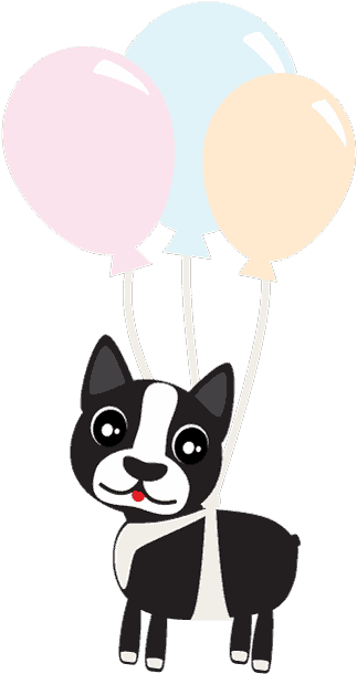 Boston Terrier Svg - Boston Terrier Clipart (640x640), Png Download