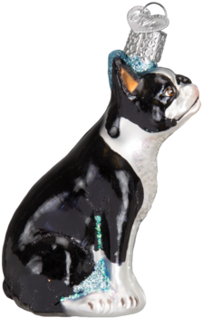 Boston Terrier Ornament - Photography Camera Glass Blown Hanging Christmas Ornament (387x387), Png Download