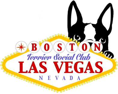 Las Vegas Boston Terrier Meetup - Boston Terrier Las Vegas (400x400), Png Download