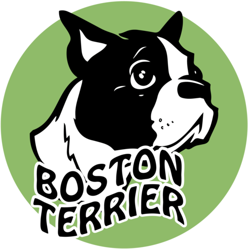 English White Terrier (500x500), Png Download