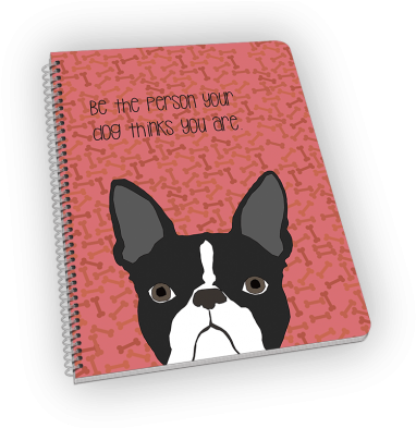 Next - Dog (510x392), Png Download