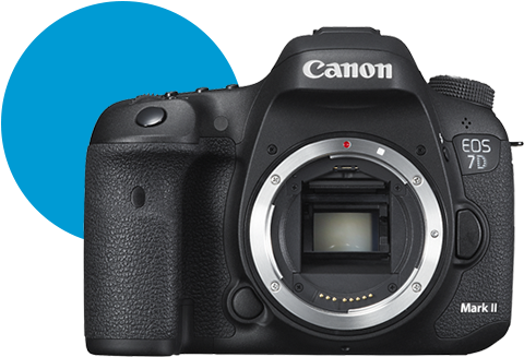 Cámaras Eos - Asistencia - Canon Eos 7d Mark Ii (g) (body) Wi-fi Adapter Kit (595x347), Png Download