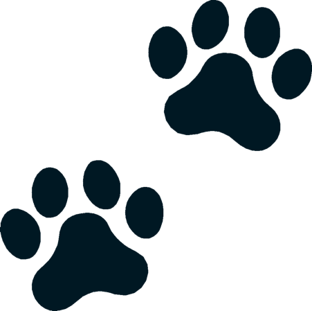 Welcome To Boston Terrier Memorials - Paw Prints (451x449), Png Download