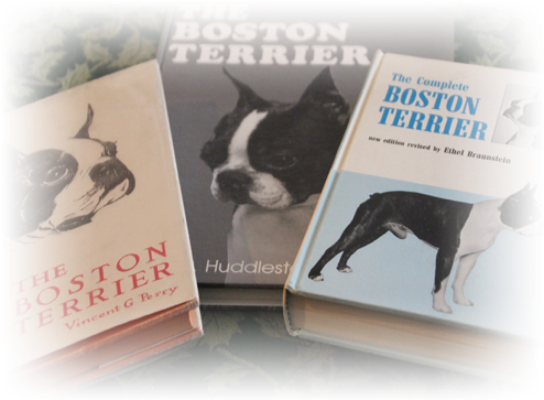 As American As Baseball And Apple Pie, The Boston Terrier - Boston Terrier (506x364), Png Download