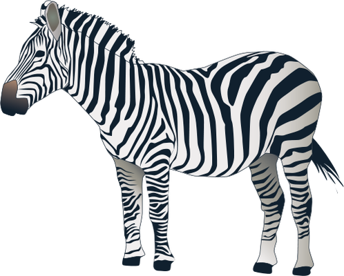 Download Png Images Free Download - Zebra With White Background PNG Image  with No Background 