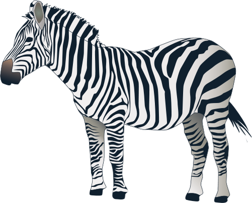 Png Images Free Download - Zebra With White Background (498x400), Png Download