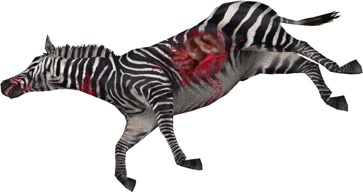 Dead Zebra - Quagga (1227x1227), Png Download