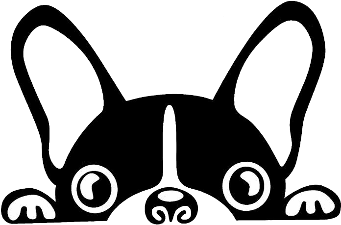 Boston Terrier French Bulldog Brazilian Terrier Puppy - Perro Bulldog Frances Dibujo (700x700), Png Download