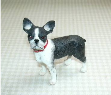 Boston Terrier (646x319), Png Download